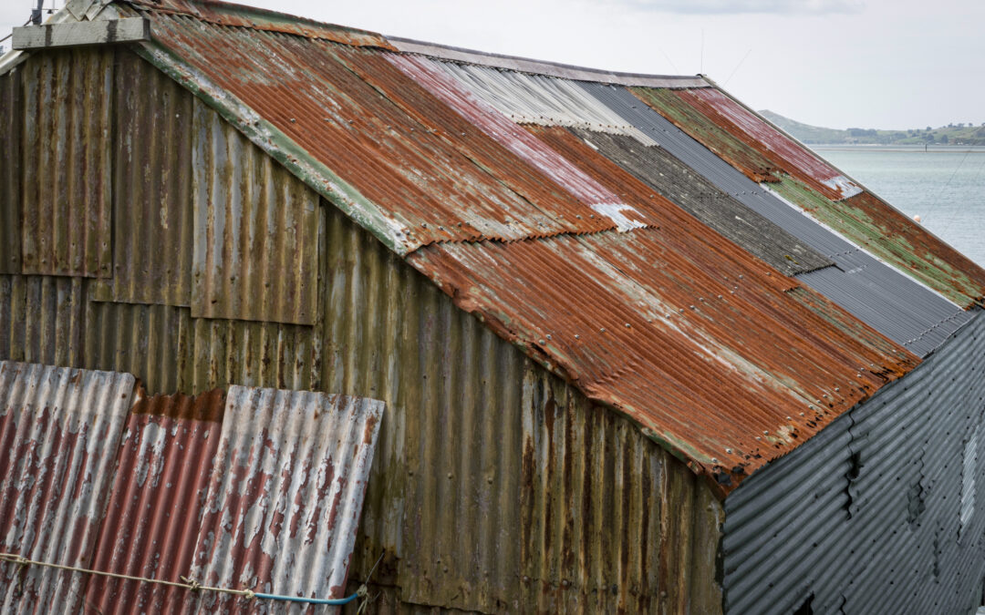 From the Tin Shed to the Tender Room